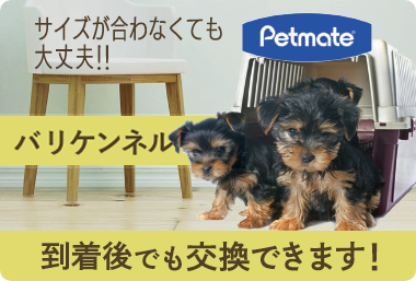 ペット用品販売 ペットの道具屋さん