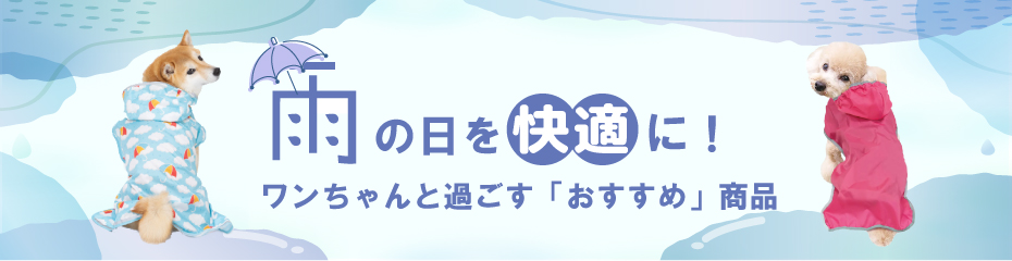 雨の日特集