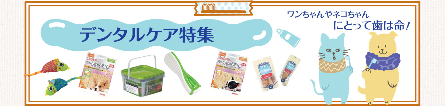デンタルケア特集
