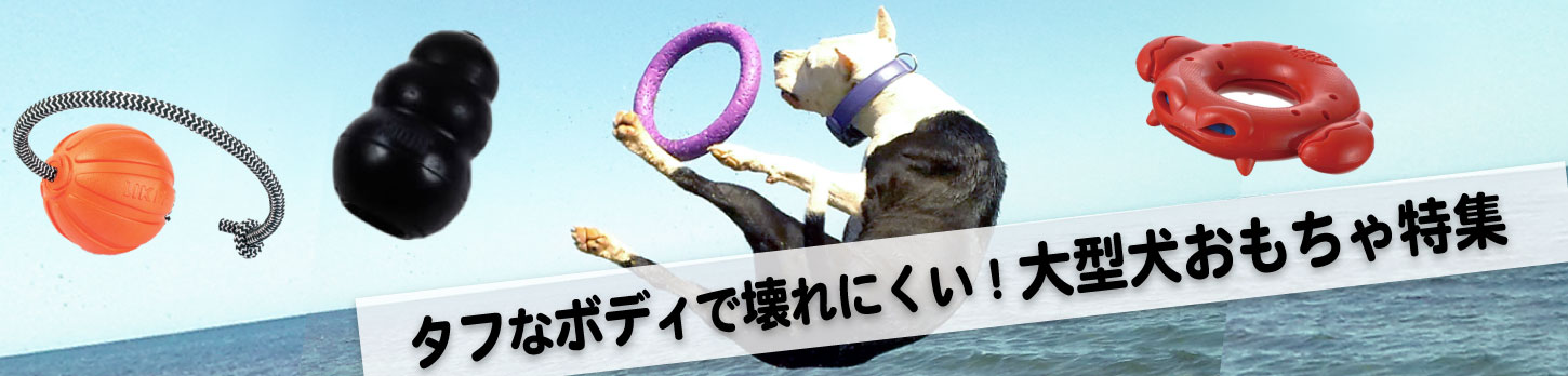 大型犬おもちゃ特集