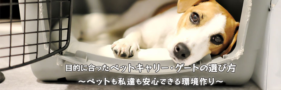 ペットキャリー・ゲート特集