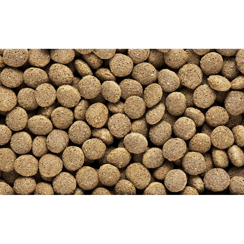 フード・サプリ