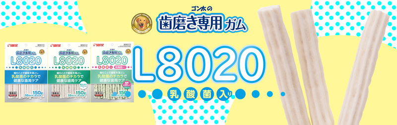 ゴン太の歯磨き専用ガム Ｌサイズ Ｌ８０２０乳酸菌入り ハード クロロフィル入り １５０ｇ: 生活用品｜ペットの道具屋さん