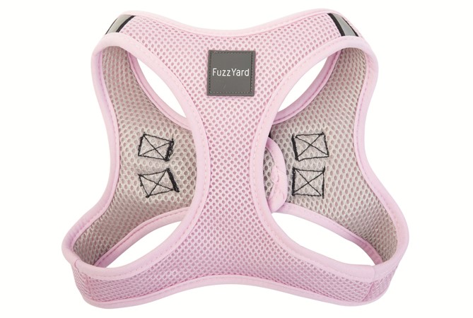 コットンキャンディ