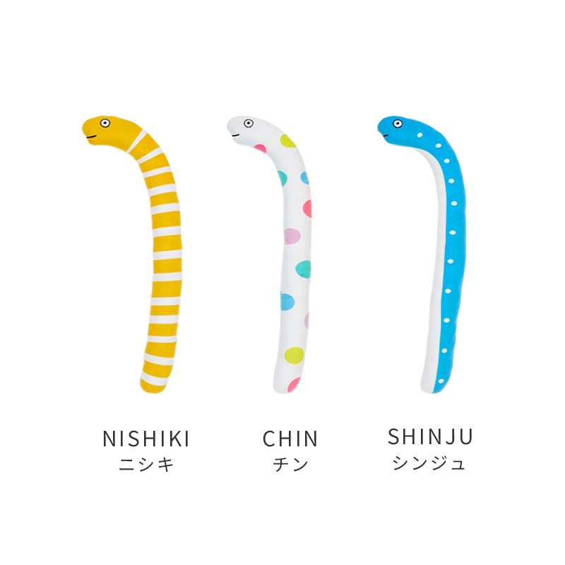 ロング チンアナゴトイ ニシキ/チン/シンジュ （ ニシキ ）