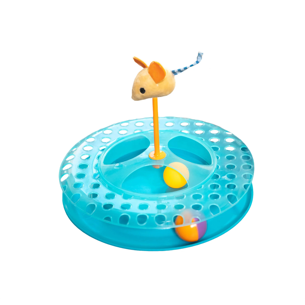 ＮＥＷチーズ・チェイス