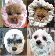 ペッカリー用 リラックススヌード グリーン