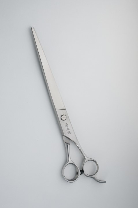 菊王冠 ストレートシザー 特一番