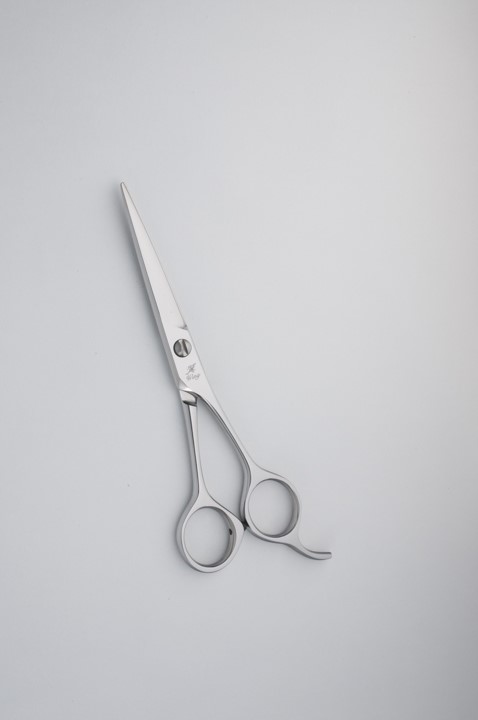 菊王冠 ミニシザー Wing 55/F