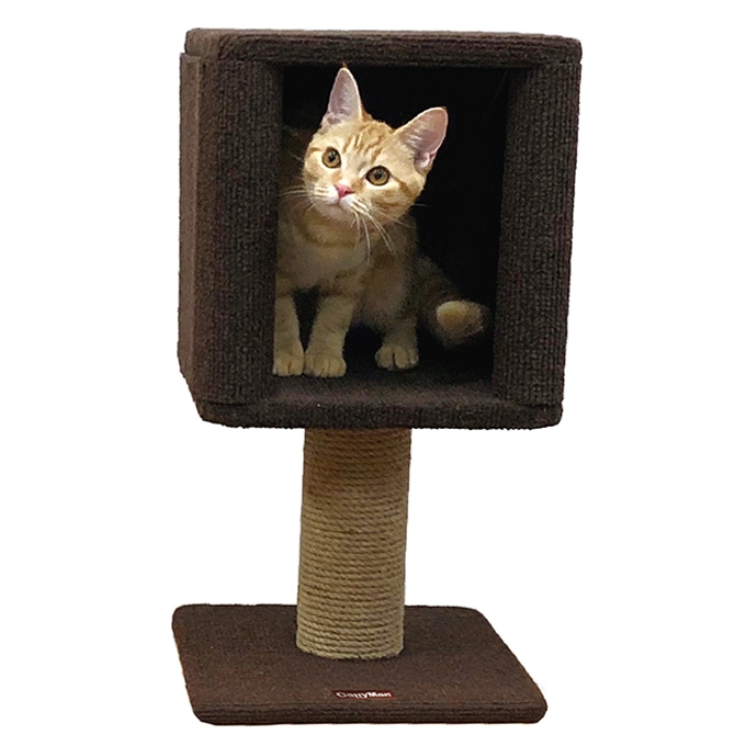 モダンルーム コンパクトにゃボックス