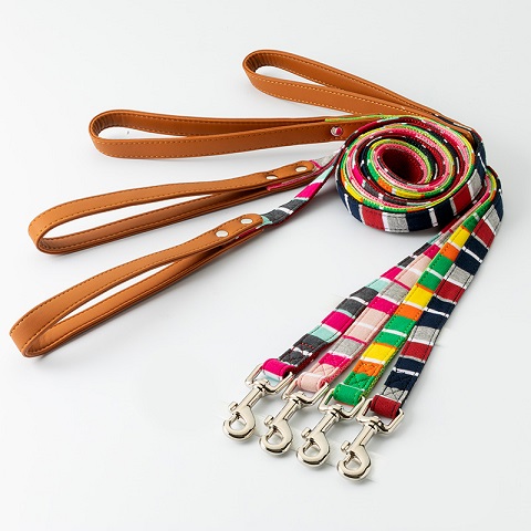 パステルボーダー リード SSサイズ ミント