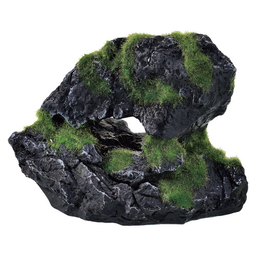 癒し水景 モスロック Cave