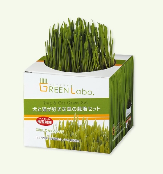 犬と猫が好きな草の栽培セット