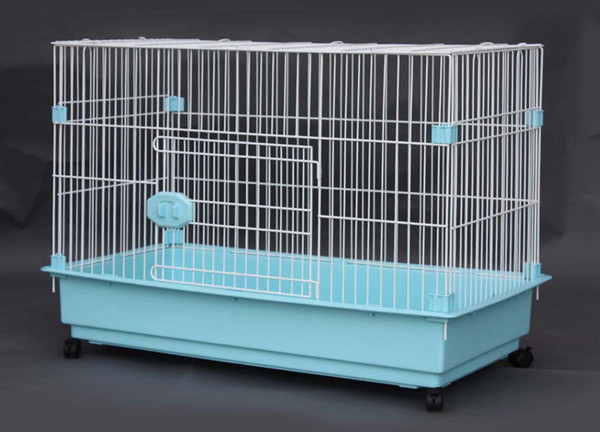 ホワイト×ブルー