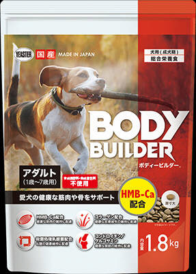 ボディービルダー アダルト1.8 kg