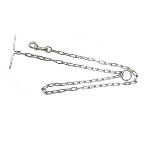 超大型犬用 ステンレス 小判 鎖 #5.5