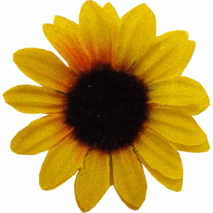 大輪の ひまわり リボン 50個