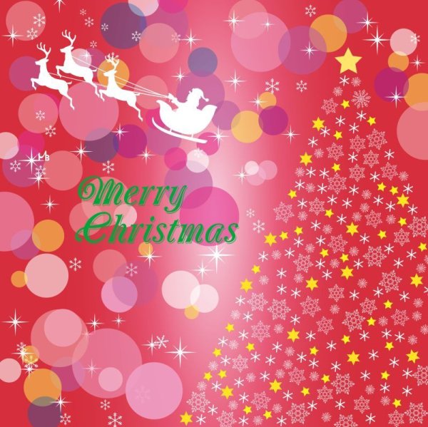 フォトグラフィーシート クリスマス [HA-12]