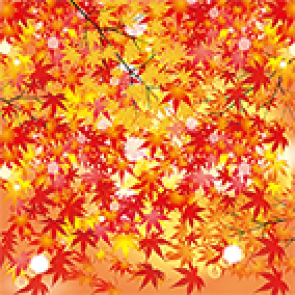 フォトグラフィーシート もみじ [HA-19]