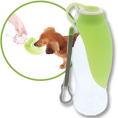 ポータブル ウォーター ボトル リーフ グリーン/ブルー （ グリーン ）