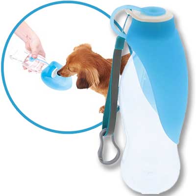 ポータブル ウォーター ボトル リーフ ブルー