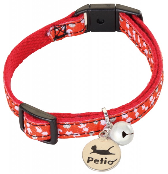 猫小町 カラー 金魚 オレンジ