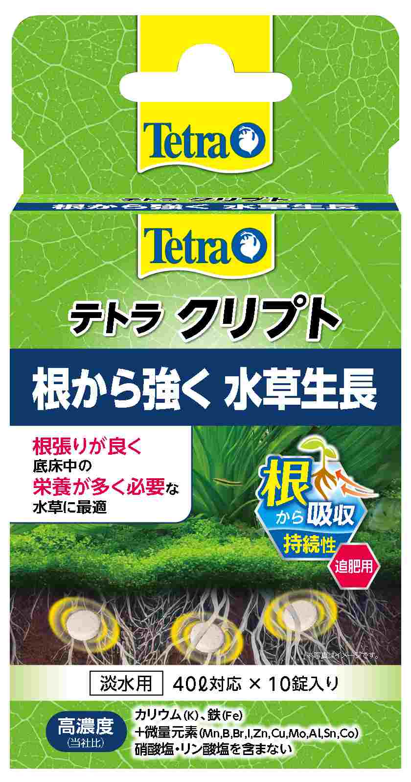 テトラ クリプト10錠入