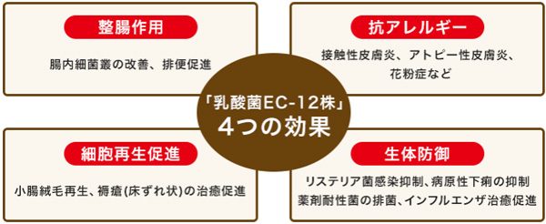 「乳酸菌EC-12株」4つの効果　●「整腸作用」腸内細菌叢の改善、排便促進 ●「抗アレルギー」接触性皮膚炎、アトピー性皮膚炎、 花粉症など・「細胞再生促進」小腸絨毛再生、褥瘡(床ずれ状)の治癒促進 ●「生体防御」リステリア菌感染抑制、病原性下痢の抑制 薬剤耐性菌の排菌、インフルエンザ治癒促進