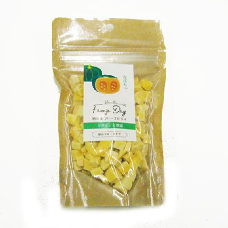 ドクターズチョイス 納豆菌フリーズドライ かぼちゃ 20g