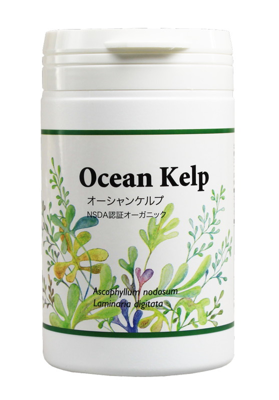 オーシャンケルプ 100