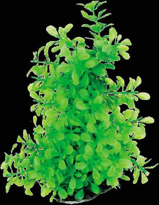 テトラ フレキシブル プラント FP‐2