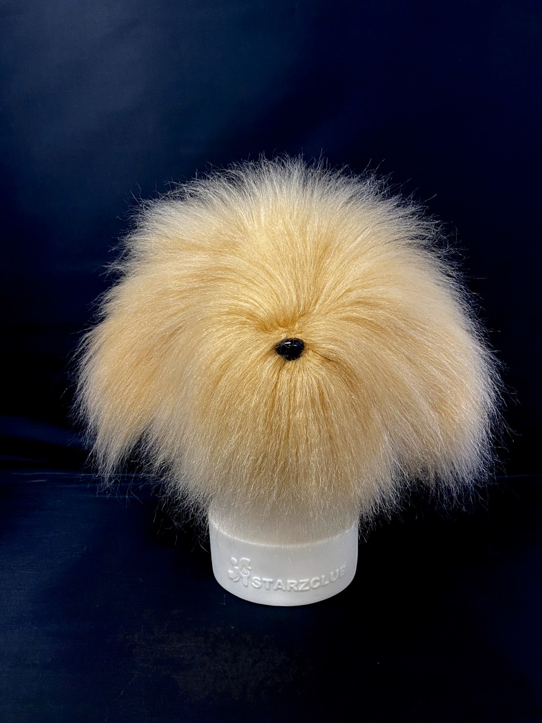 モデルドッグ トイプードル ヘッド毛