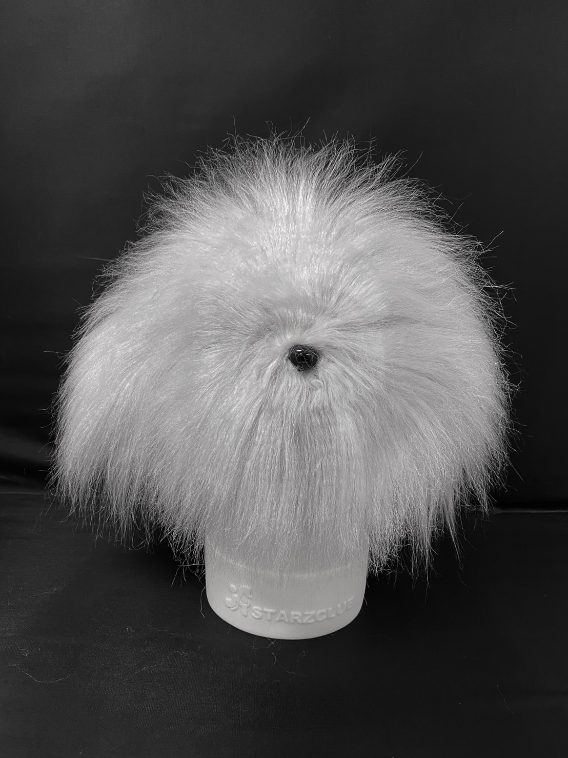 モデルドッグ トイプードル ヘッド毛