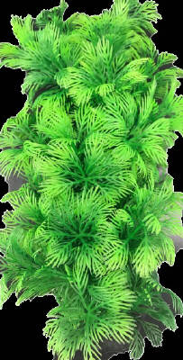 テトラ フレキシブル プラント FP‐4