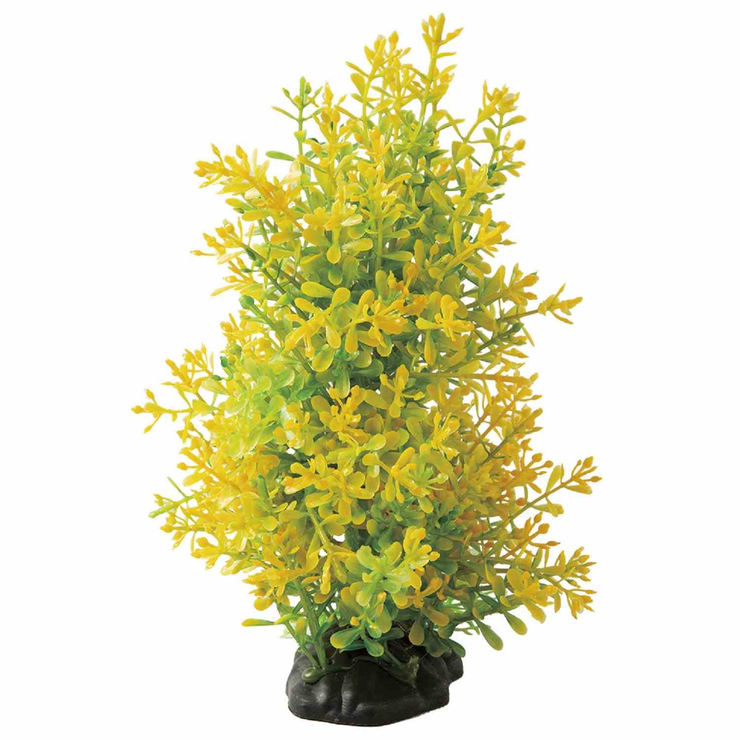 Tetra テトラ フレキシブルプラント FP-5