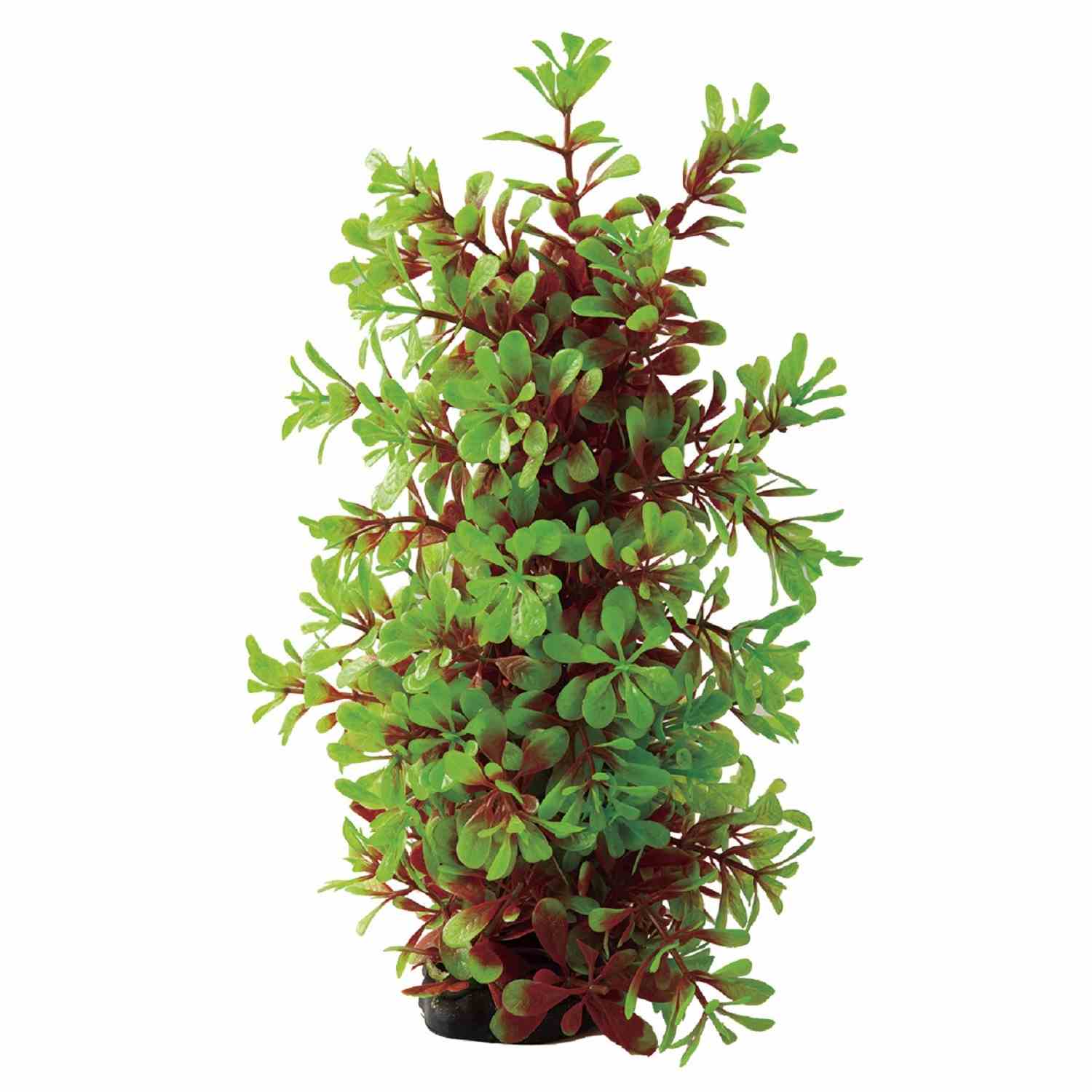 Tetra テトラ フレキシブルプラント FP-6