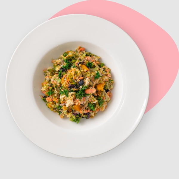 MY-DOG DELI #4 ささみと鮭のイキイキごはん 100g