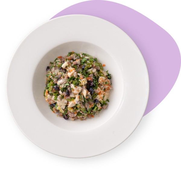 MY-DOG DELI #6 砂肝とブルーベリーのぱっちりごはん 100g