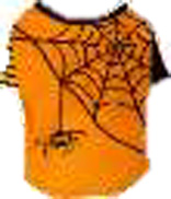 くものす オレンジ S