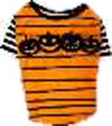 4つかぼちゃ オレンジ DM