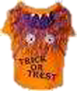 もじゃもじゃ オレンジ DM