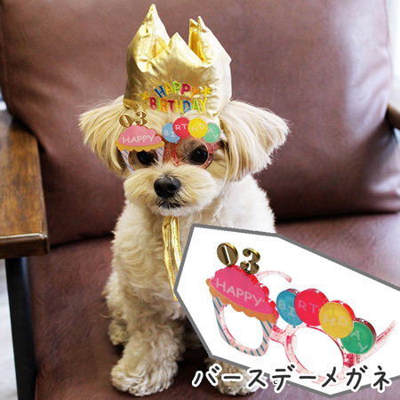 バースデー メガネ S/M （ Sサイズ ）