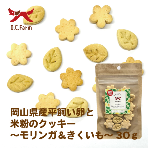 岡山県産 平飼い卵と米粉のクッキー ～モリンガ＆きくいも～ 30g