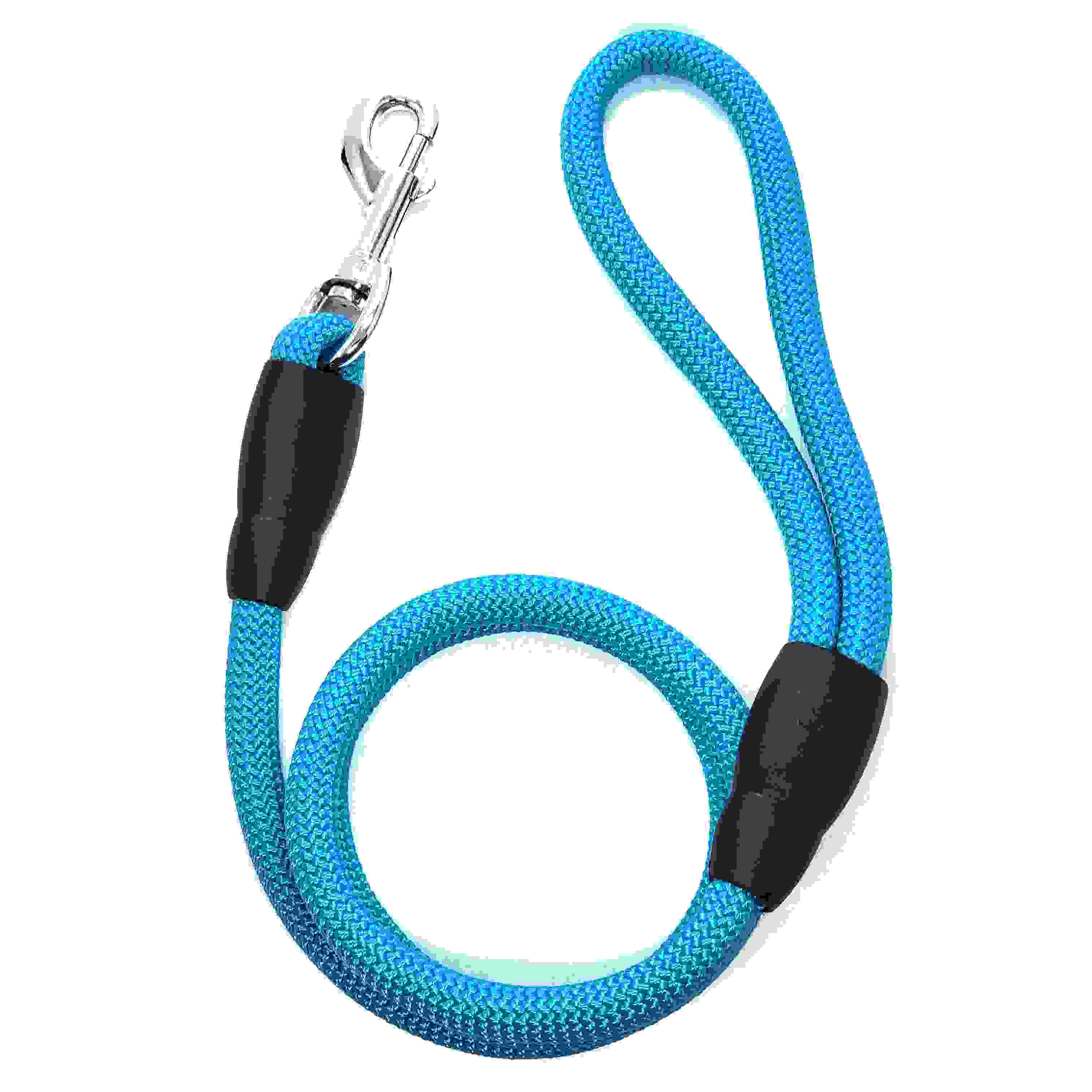 LEADOG 丸リード 8　ライトブルー