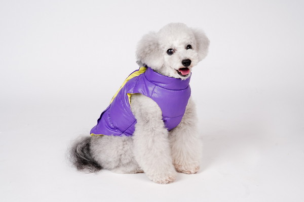 リアル ダウン 2号 パープル