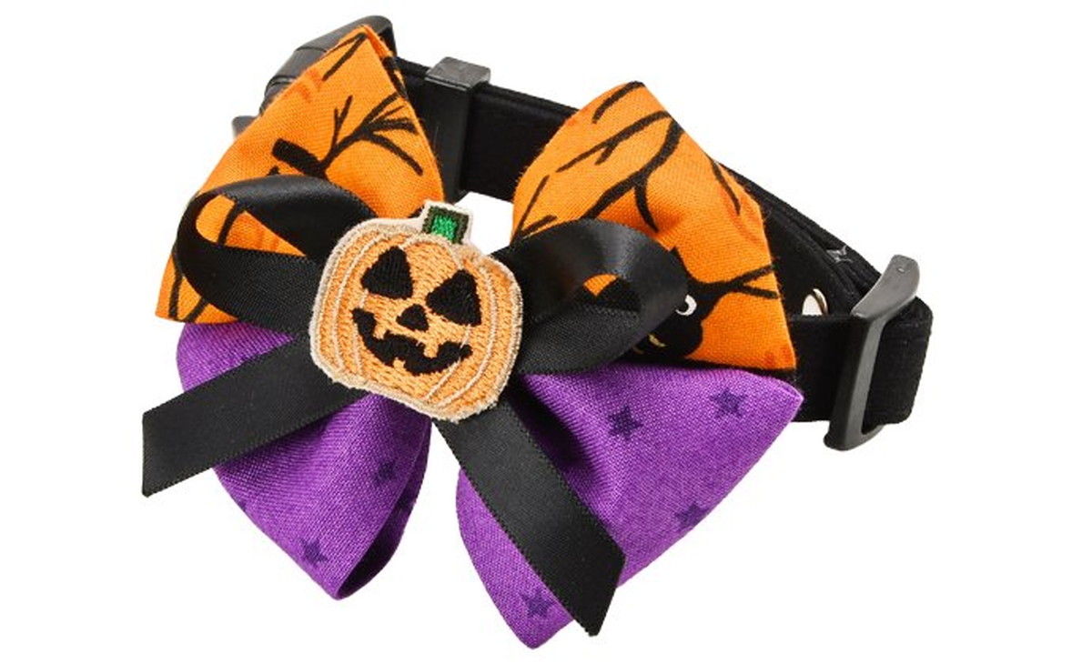 Dog Amo.k カラー ハロウィン ブラック S/M/L （ S ）