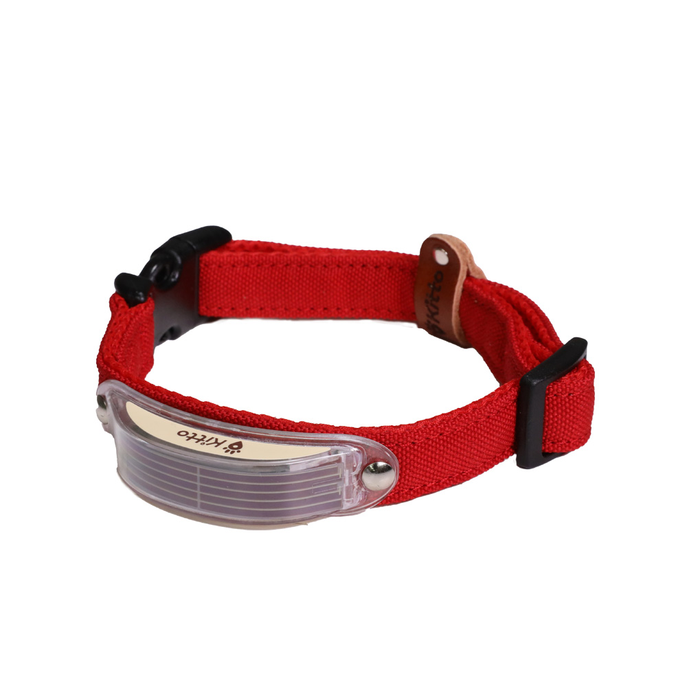 Kitto 犬用首輪 赤（紅緋） S