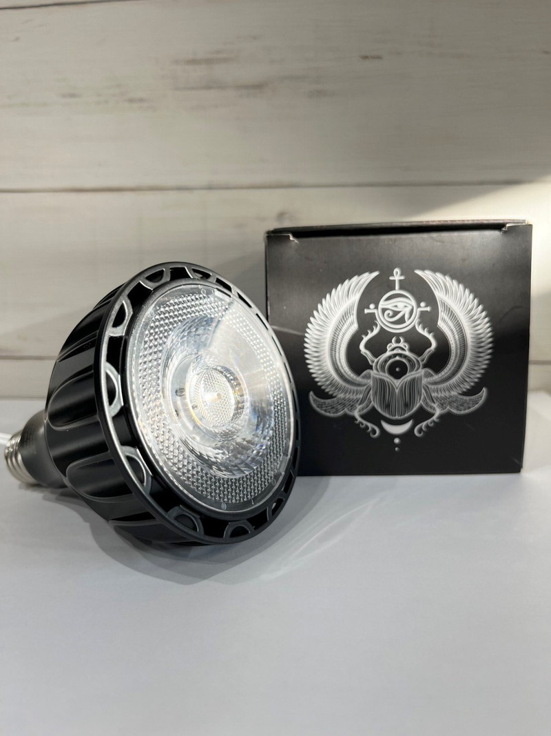 爬虫類・両生類ライト SCARAB 24W