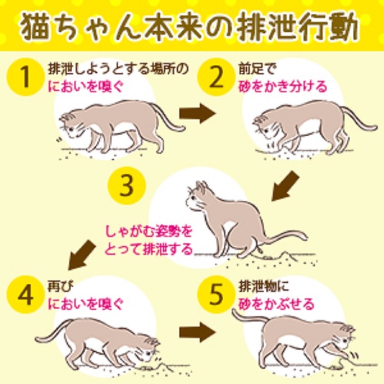 ナチュラルブラウン