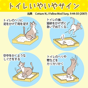 ナチュラルグレー